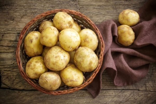 Картофель сорта Санте: описание и характеристика, посадка, уход и хранение