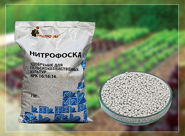 Удобрение нитрофоска